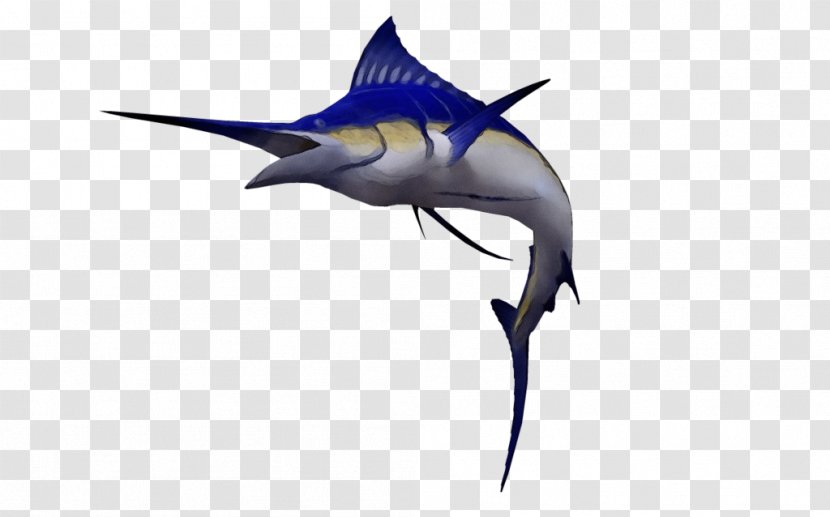 Shark - Fin Cretoxyrhina Transparent PNG