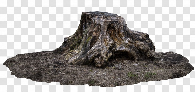 Tree Stump Trunk DeviantArt Driftwood - Ground Transparent PNG