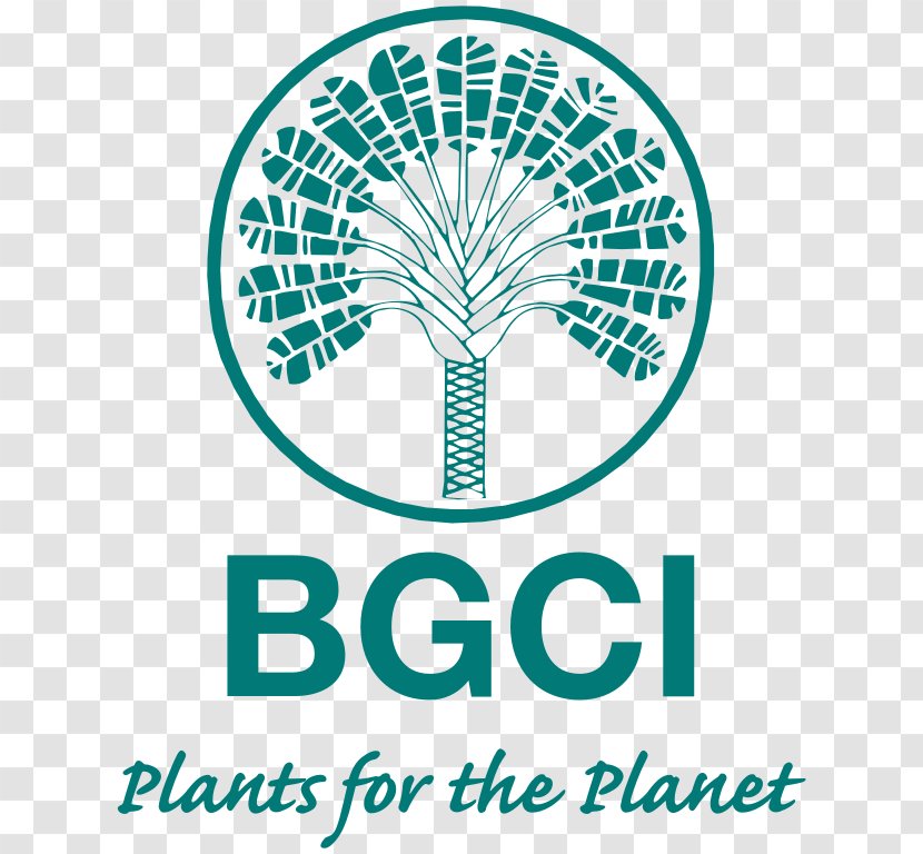 Kew University Of Oxford Botanic Garden Gardens Conservation International Botanical - Arboretum - Tree Transparent PNG