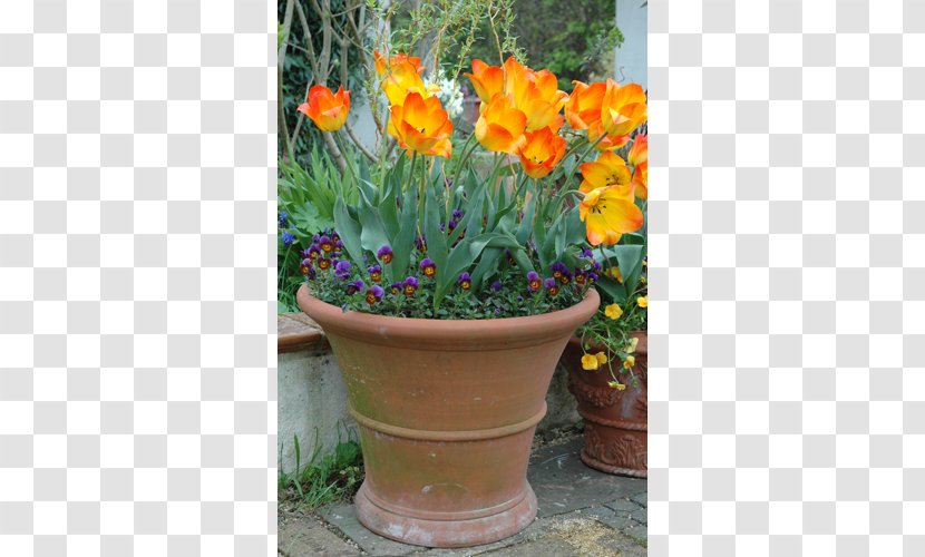 Flowerpot Garden Terracotta Houseplant Annual Plant - Gardening Transparent PNG