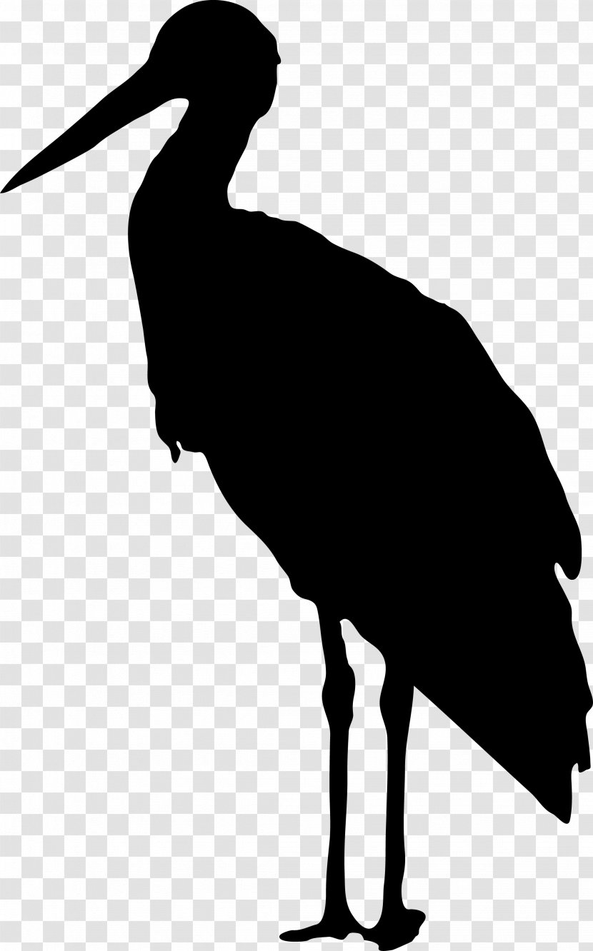 Bird Stork Clip Art - Crane Like - Birds Silhouette Transparent PNG