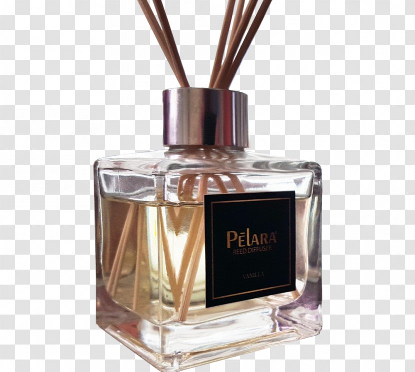 Perfume Pelara Odor Cosmetics Eau De Parfum - Antalya Transparent PNG