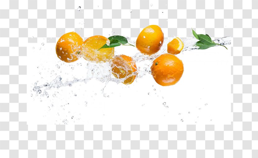 Lemon Cartoon - Grapefruit - Yuzu Meyer Transparent PNG