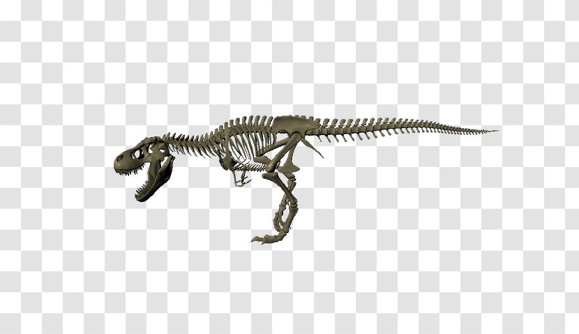 Tyrannosaurus Ankylosaurus Jurassic Park: Operation Genesis Dinosaur 3D Modeling - 3d Computer Graphics - Skeleton Transparent PNG