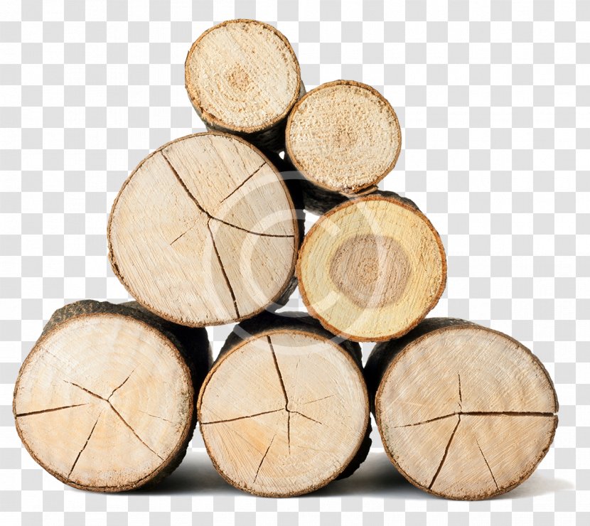 Hardwood Lumberjack Pulp - Wood Production Transparent PNG