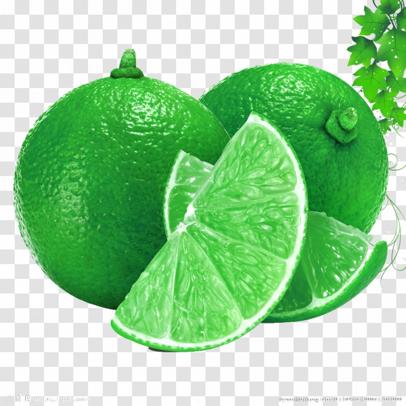 Juice Thai Cuisine Lemon Seed Lime - Diet Food - Green Fresh Grapefruit Decorative Patterns Transparent PNG