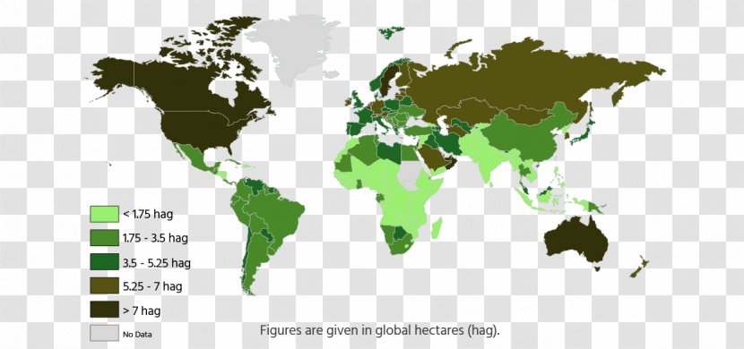 Globe World Map - Tree Transparent PNG
