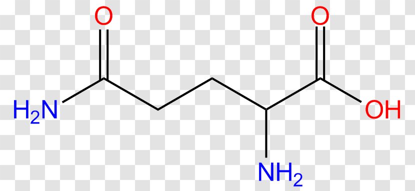 Glutamic Acid Amino Glutamate Arginine Glutamine - Structure Transparent PNG