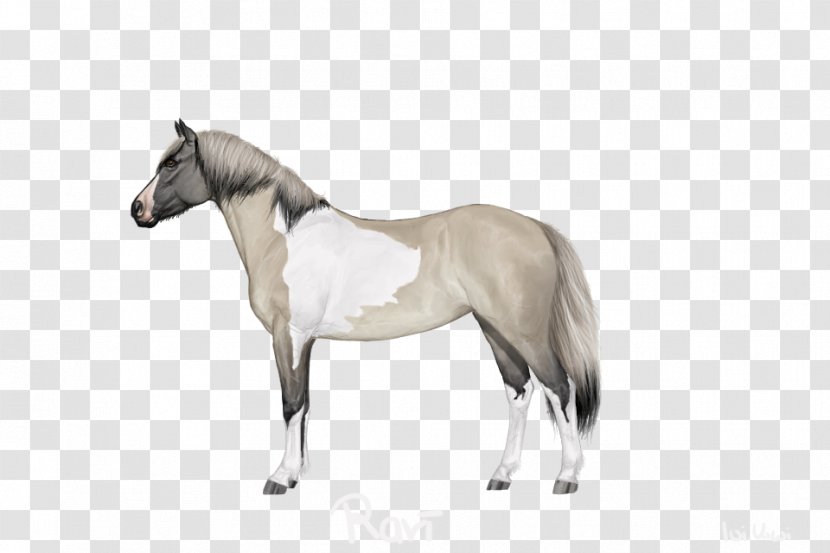 Mane Mustang Stallion Mare Foal - Horse Supplies Transparent PNG
