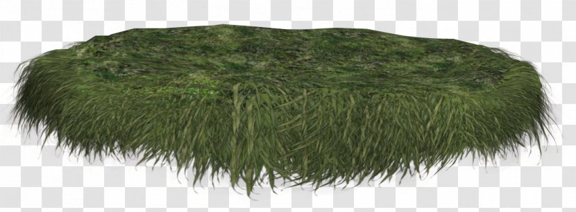 3D Computer Graphics Texture Mapping - Fur - Lawn Map,element Transparent PNG