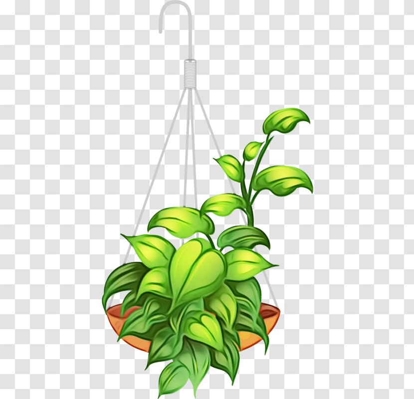 Flower Plant Houseplant Leaf Clip Art - Stem - Flowering Transparent PNG