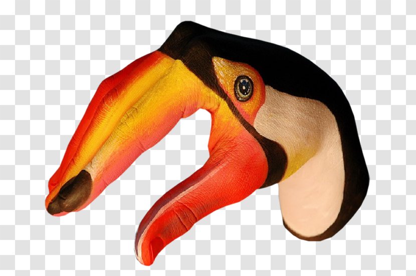 Body Painting Work Of Art - Oil - Toucan Transparent PNG