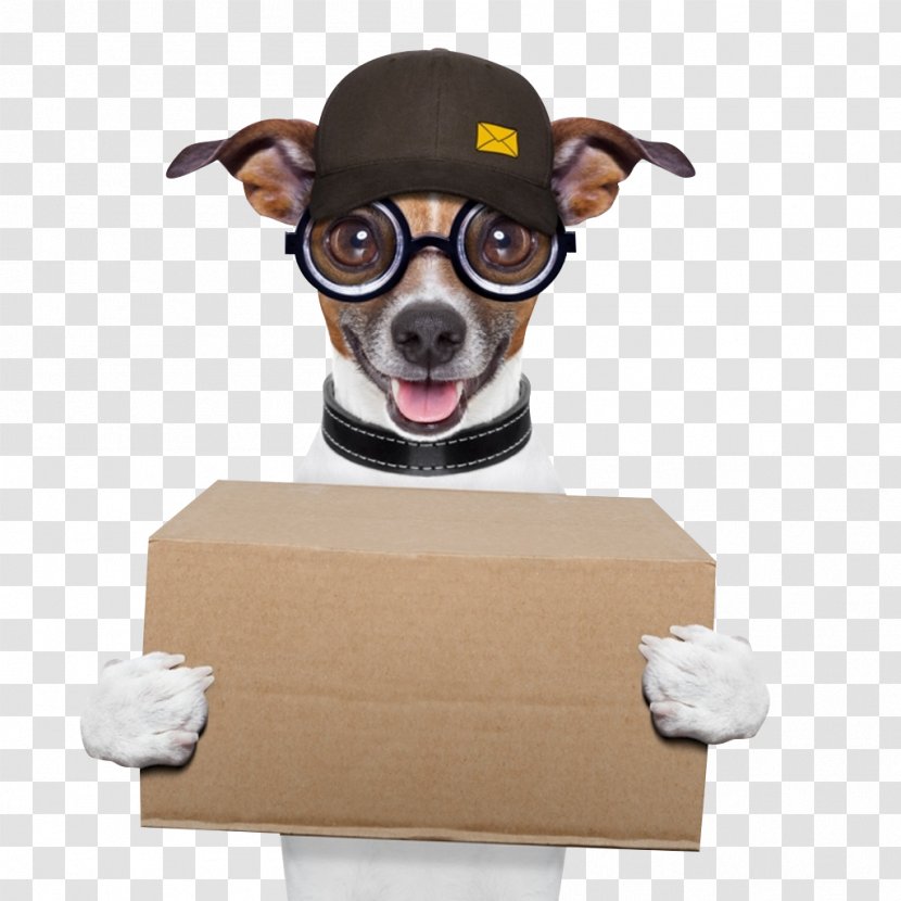 Dog Food Delivery Pet Cat - Collar - Deliveryman Wang Star Transparent PNG