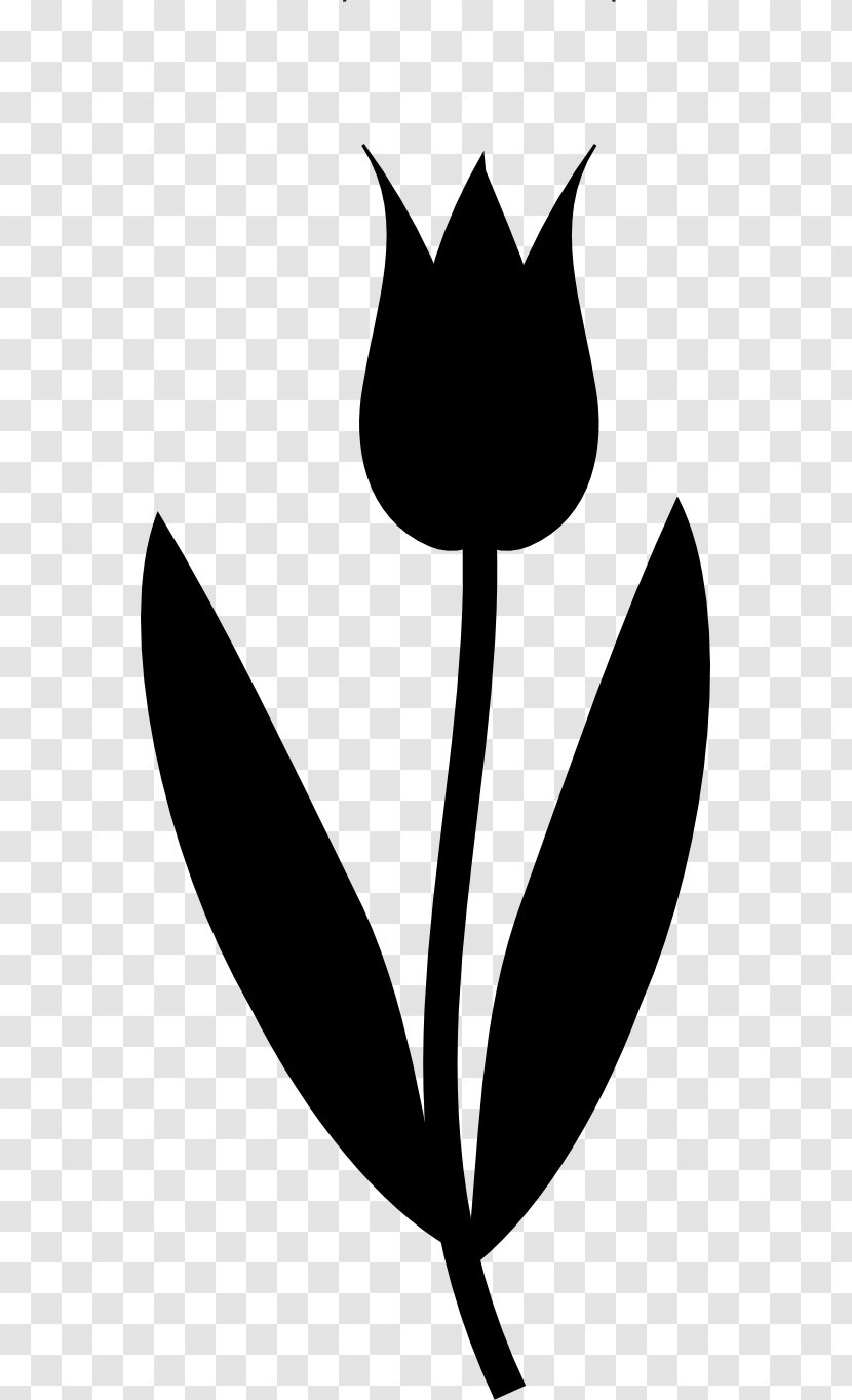 Clip Art Flower Garden Plant Stem Leaf - Logo Transparent PNG