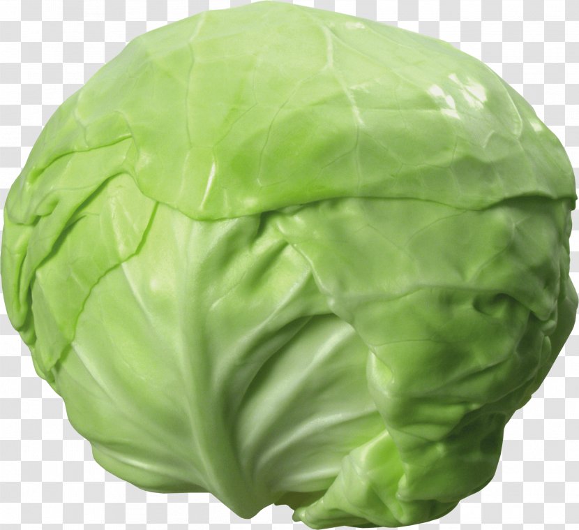 Cabbage Stew Red Food - Watercolor - Image Transparent PNG