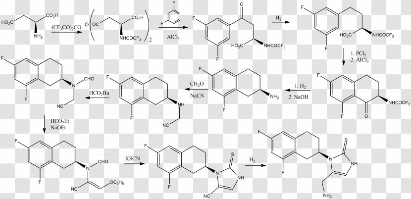 Horseradish Peroxidase Ninhydrin Chemical Compound Amine Amino Acid - Cartoon - Watercolor Transparent PNG