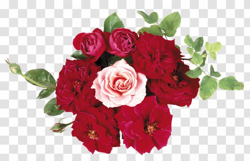 Floral Design Flower Bouquet Rose Desktop Wallpaper - Artificial Transparent PNG