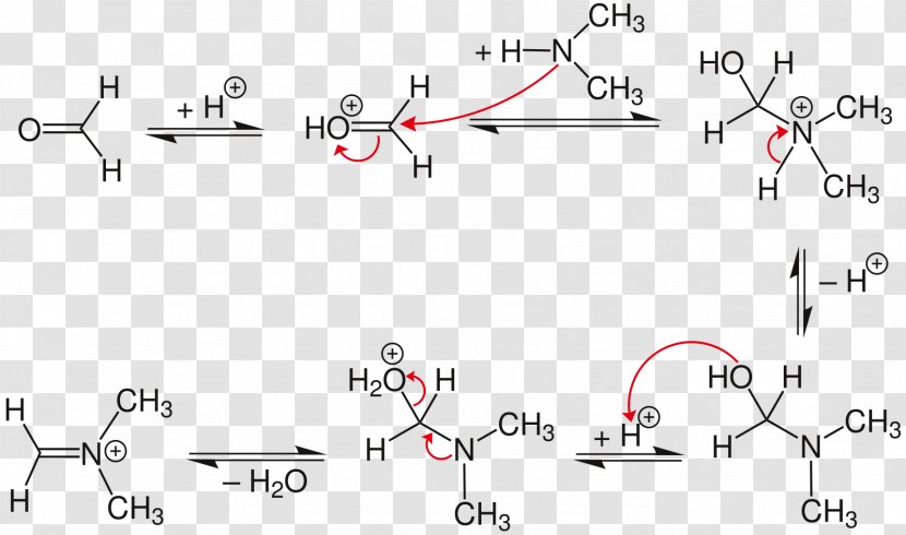 Mannich Reaction Amine Aldehyde Base Keto–enol Tautomerism - Silhouette - Frame Transparent PNG
