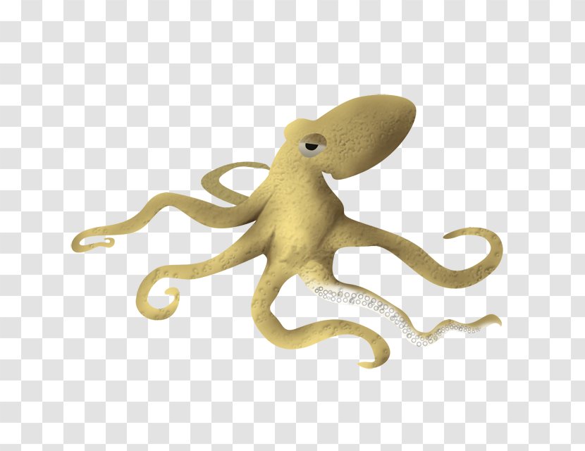Octopus - Organism - Pelicano Transparent PNG
