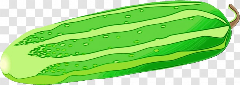 Educational Background - Lesson - Plant Green Transparent PNG