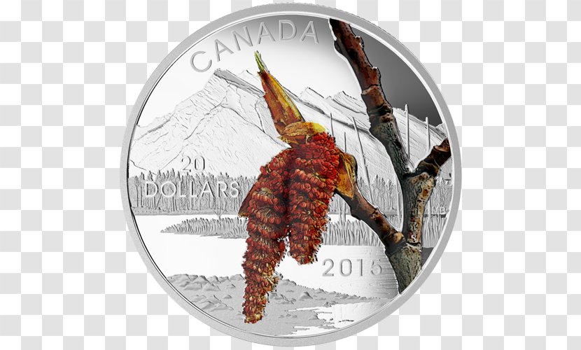 Canada Silver Coin Gold - Dollar Transparent PNG