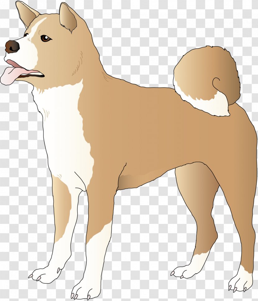 Ancient Dog Breeds Non-sporting Group American Staffordshire Terrier Shiba Inu - Carnivoran - Cat Transparent PNG