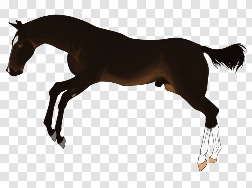 Mustang Foal Stallion Rein English Riding - Mare - Shots Fired Transparent PNG