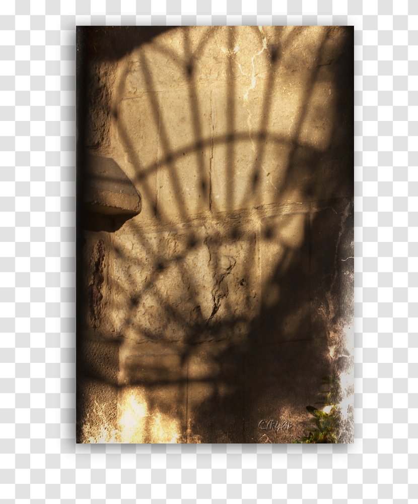 Stock Photography Tree - Still Life Transparent PNG