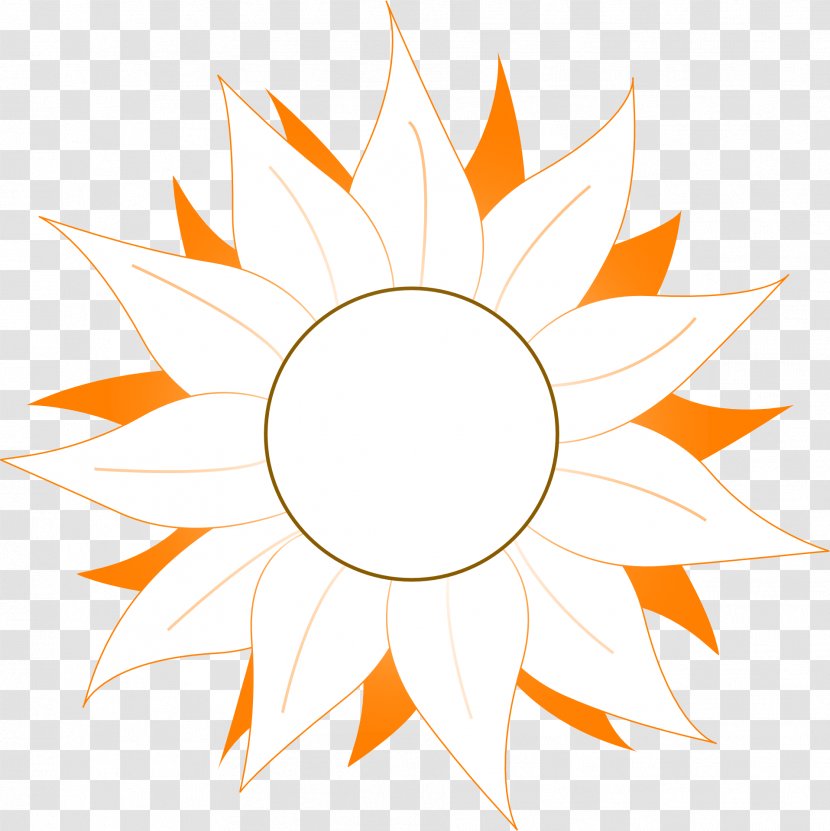 Clip Art - Symmetry - Orange And White Gerbera Transparent PNG