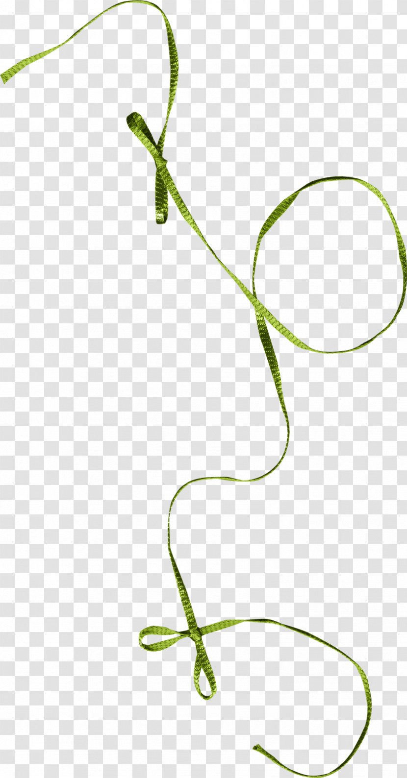 Ribbon Green Shoelace Knot Image - Tree - Empty Transparent PNG
