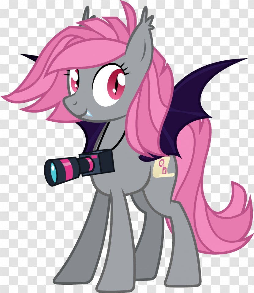 My Little Pony: Equestria Girls Rainbow Dash Daily - Tree - Pony Transparent PNG