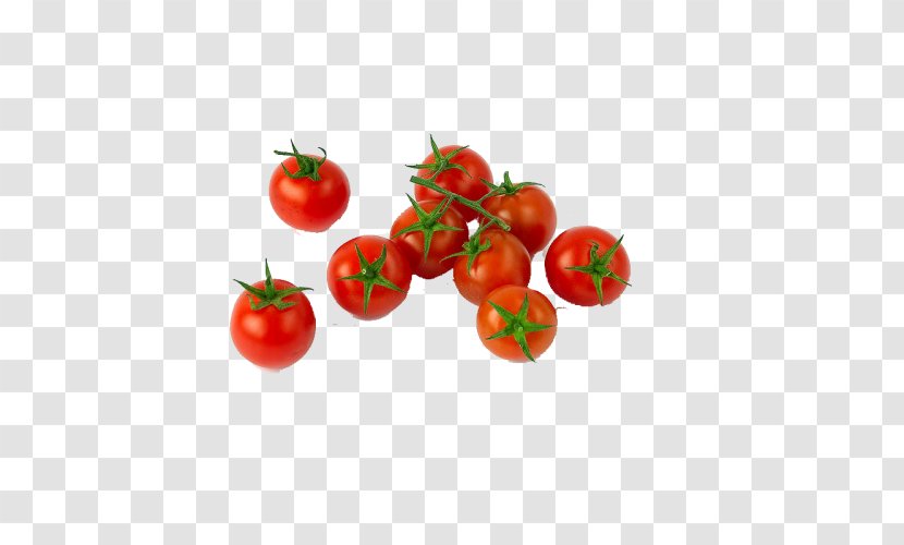 Cherry Tomato Plum Grape Vegetable - Superfood Transparent PNG