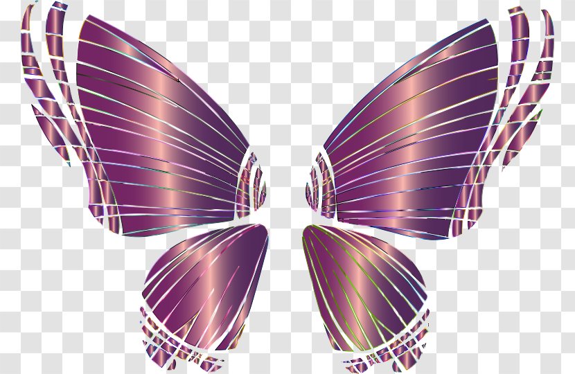 Butterfly Desktop Wallpaper Photography Clip Art - Invertebrate - Wings Transparent PNG