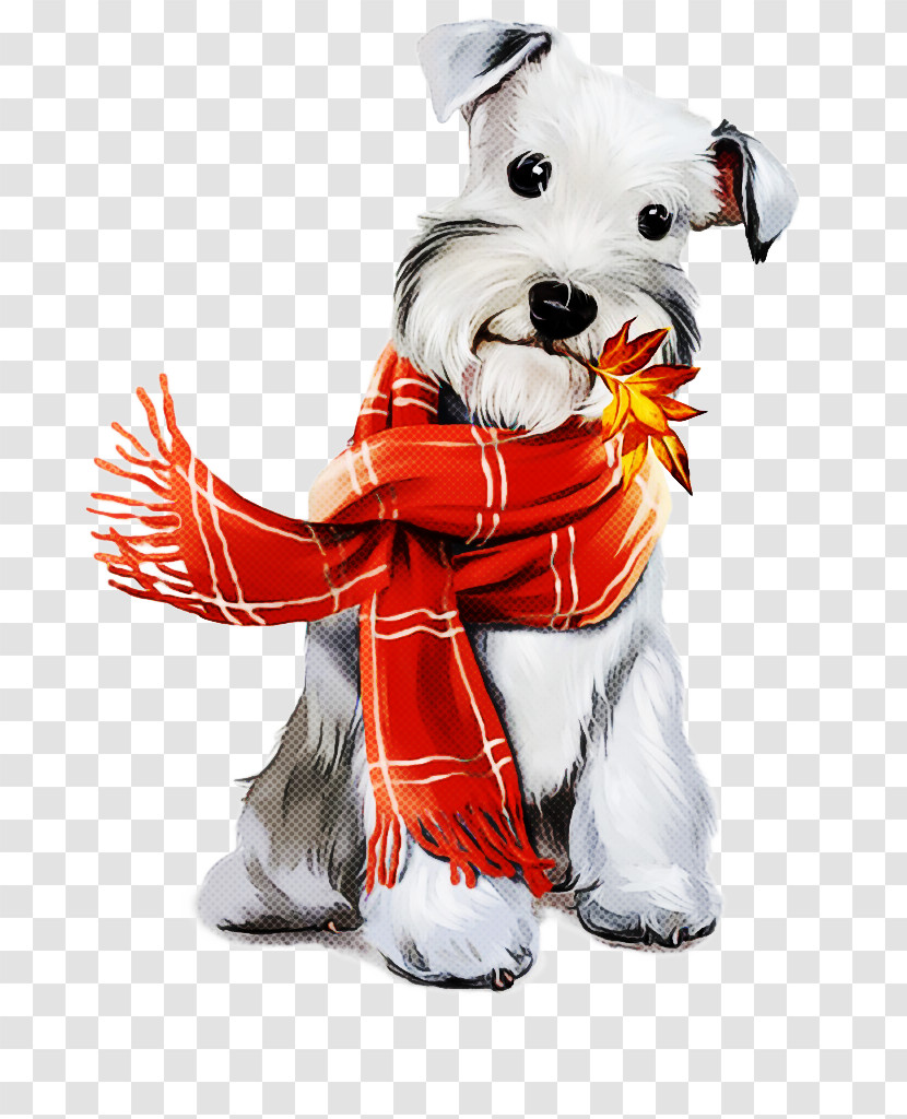Dog Dog Clothes West Highland White Terrier Miniature Schnauzer Sealyham Terrier Transparent PNG