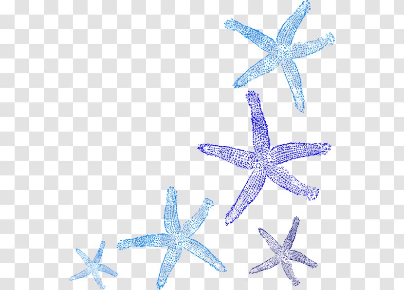 Coral Common Starfish Clip Art - Decorative Paintings Transparent PNG