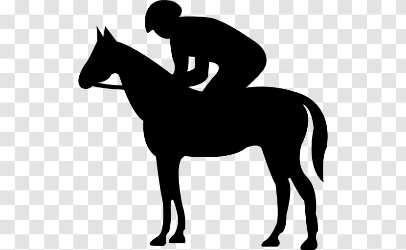 Jinete Holsteiner Kabardian Thoroughbred M'Bayar - Pony - Mustang Horse Transparent PNG