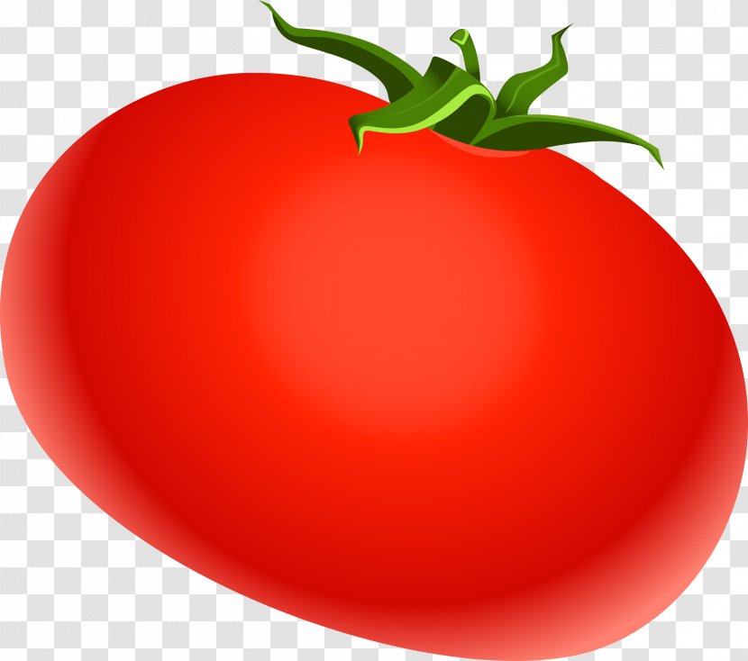 Plum Tomato Red Rouge Tomate - Potato And Genus - Vector Illustration Transparent PNG