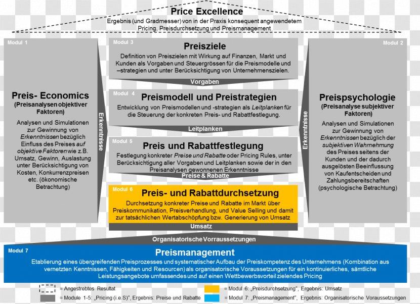 Supply Software Framework Pricing Strategies Economics Cost - Pharmaceutical Drug Transparent PNG