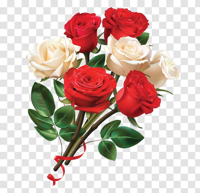 Garden Roses Paper Red Centifolia Valentines Day - Floristry - Women And White Rose Flower Transparent PNG