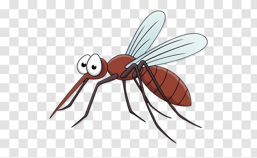 Clip Art Vector Graphics Stock Illustration Mosquito - Photography Transparent PNG