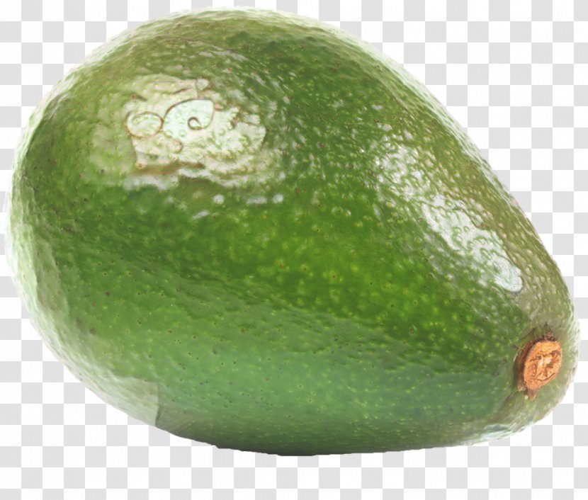 Winter Cartoon - Lime - Melon Food Transparent PNG