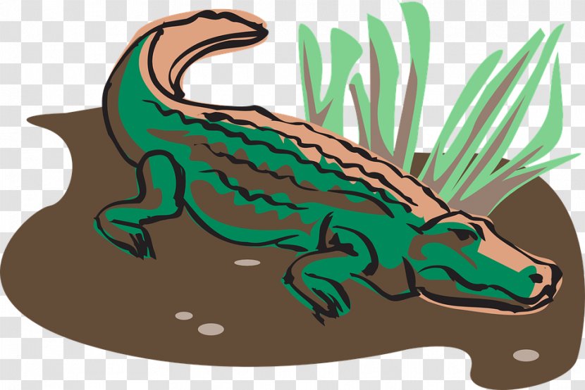 Crocodile Alligator Animation Clip Art - Amphibian Transparent PNG