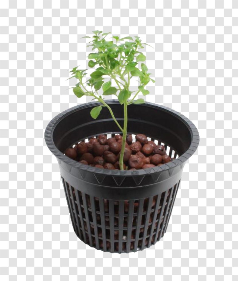 Hydroponics Flowerpot Nursery Transplanting Deep Water Culture - Root - Hydroponic Transparent PNG