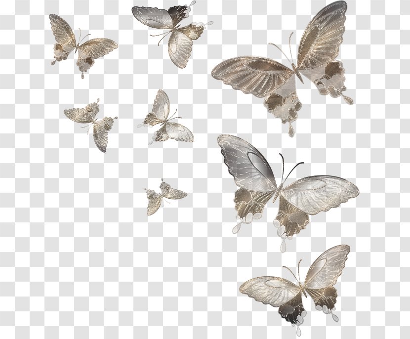 Butterfly Moth Insect Clip Art - Animal Transparent PNG