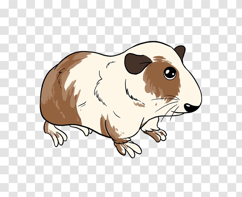 Pig Cartoon - Fawn Hamster Transparent PNG