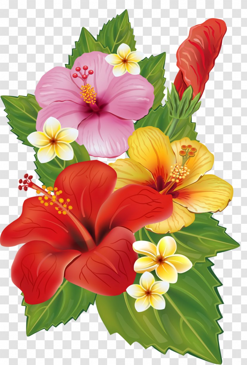 Flower Bouquet Decorative Arts Clip Art - Hibiscus - Tropical Transparent PNG