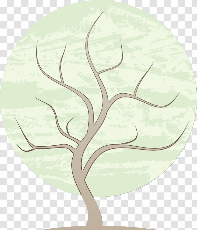 Leaf Plant Structure Plants Science Biology Transparent PNG