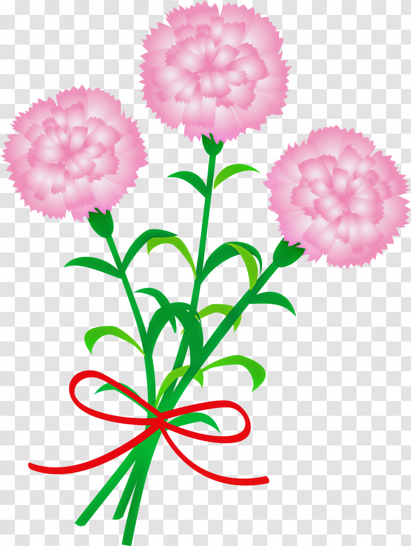 Mothers Day Carnation Mothers Day Flower Transparent PNG