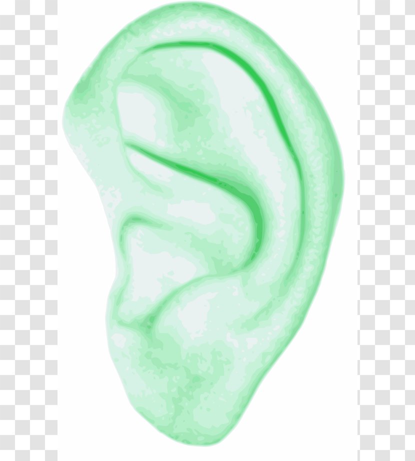 Ear Human Body Clip Art - Sense - Figure Outline Transparent PNG