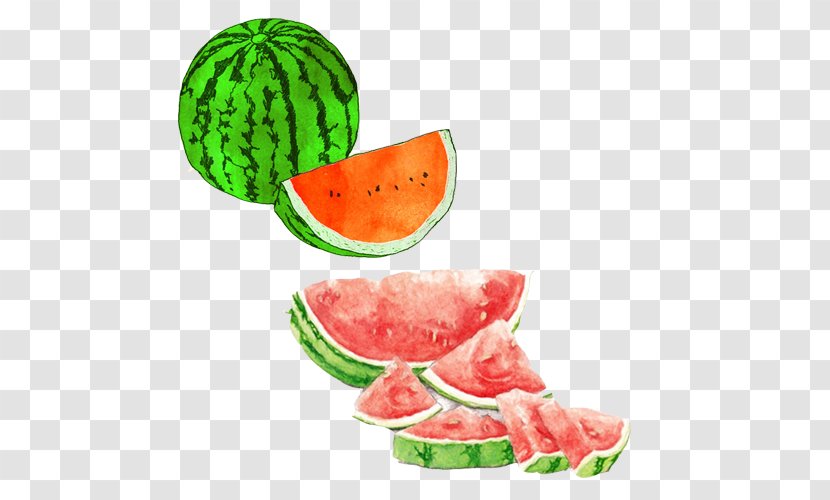 Watermelon Watercolor Painting Drawing Seedless Fruit Illustration - Art - Hand Material Picture Transparent PNG